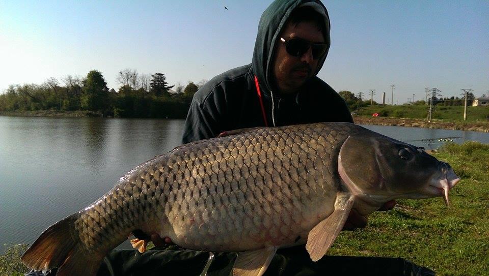 Hermes Peris 25 - 26 aprilie 2015 - 11124455991225767568980452499899n.jpg